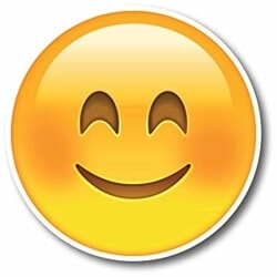 Sourit